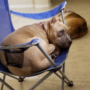 Fundraising Page: Debbie rice